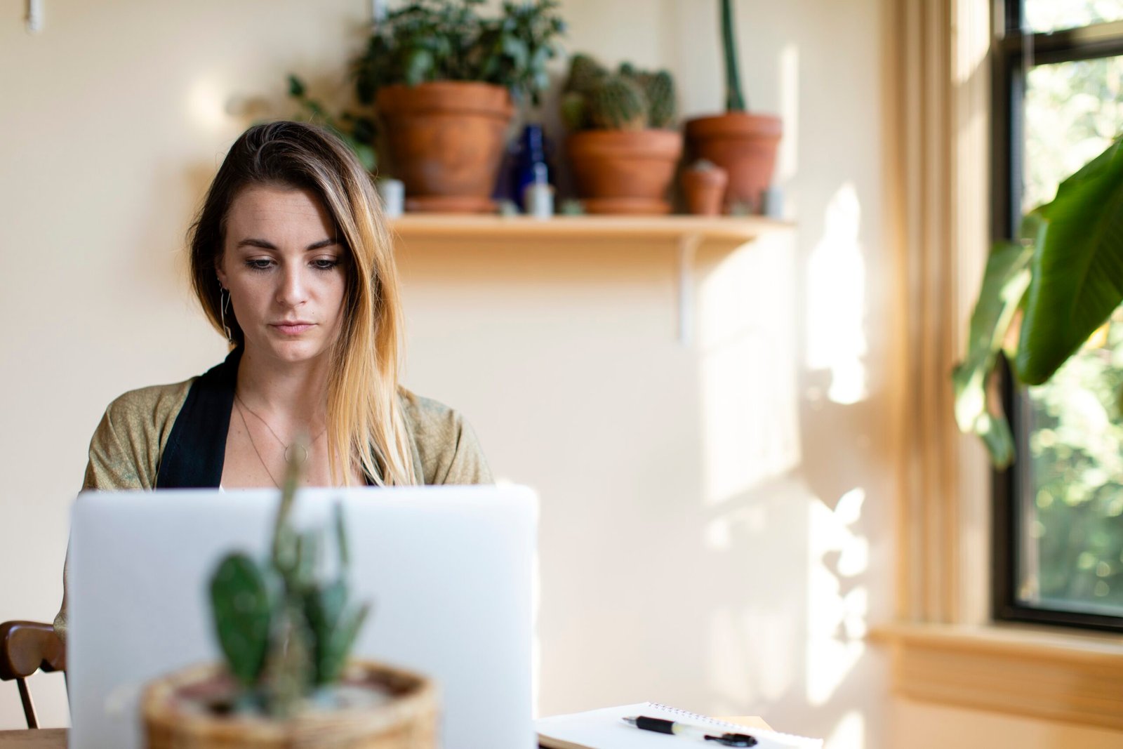 Focused woman working at a laptop in a sunlit room with potted cacti